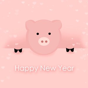 Turn of the year sylvester annual financial statements