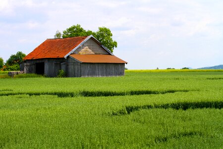 Landscape old woodhouse photo