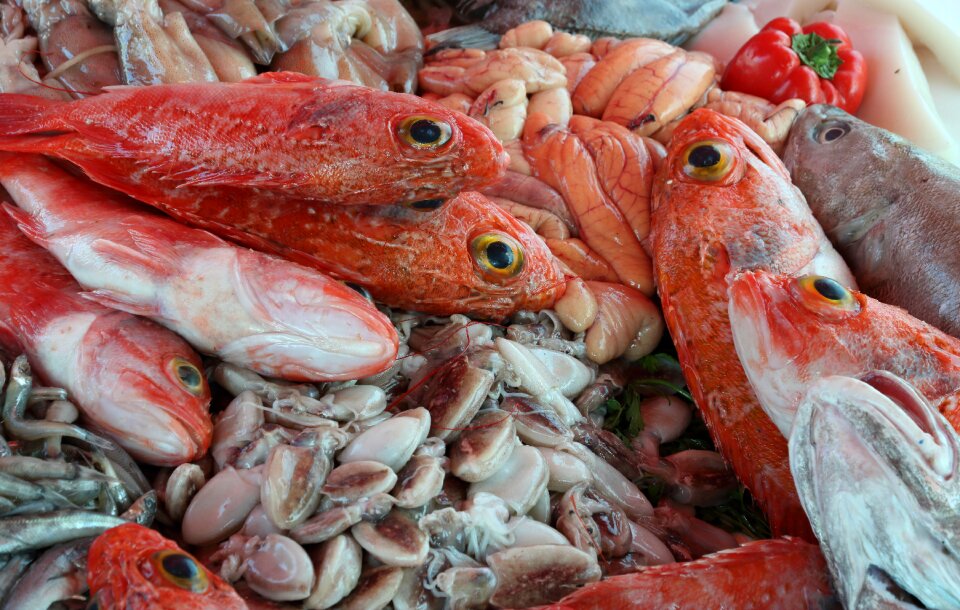 Food market harbor