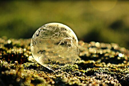 Frost bubble frozen cold