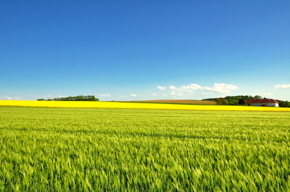 Landscape panorama nature