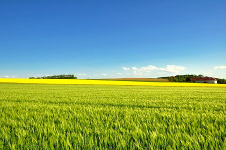 Landscape panorama nature