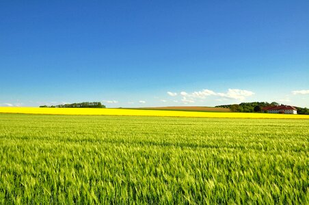 Landscape panorama nature photo