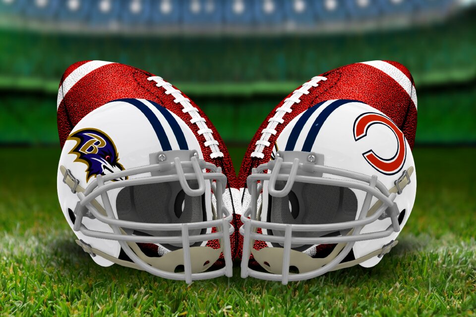 Afc north nfc north baltimore ravens