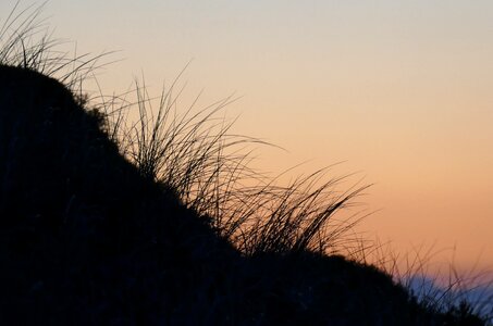 Nature sylt sunrise photo