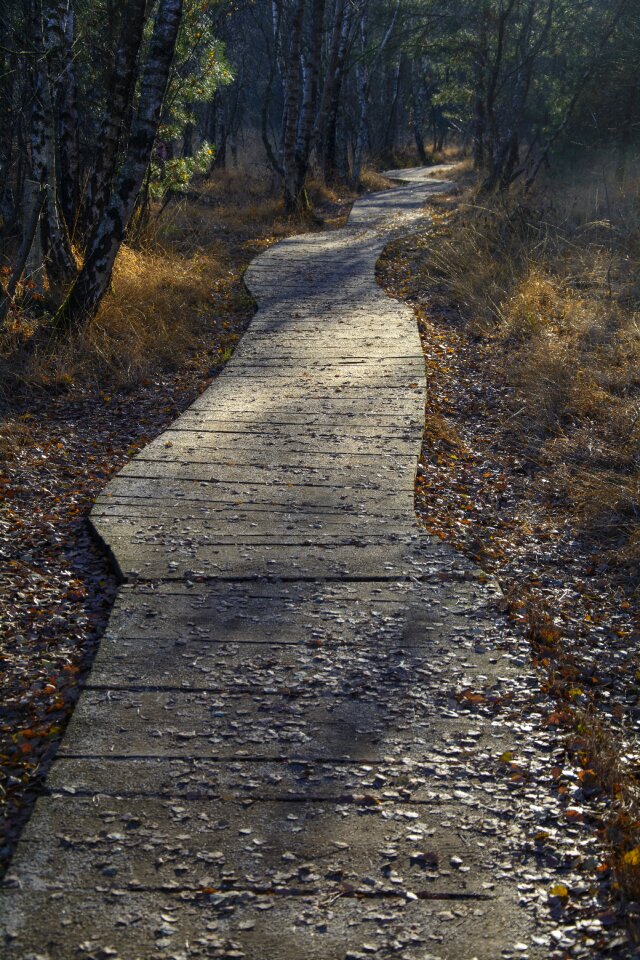 Moor hike trail