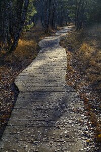 Moor hike trail photo