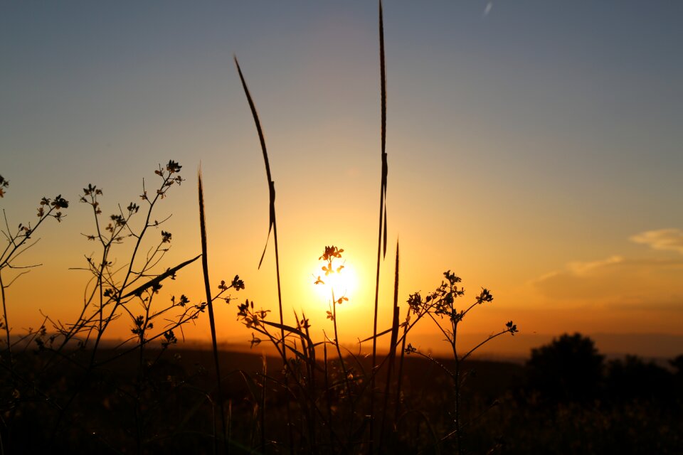 Nature landscape silhouette
