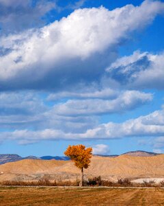 Landscape sky trees photo