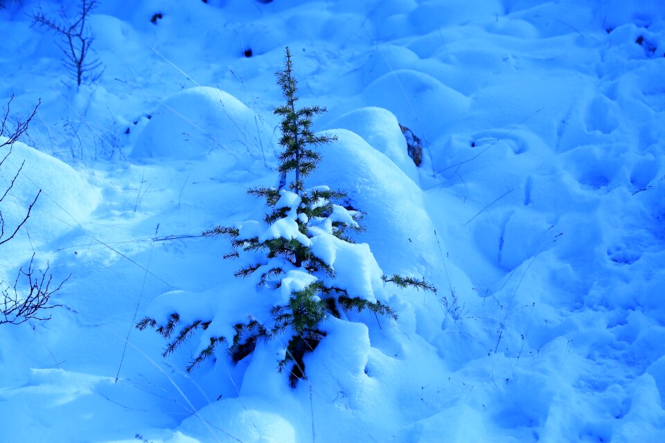 Cold white mountains