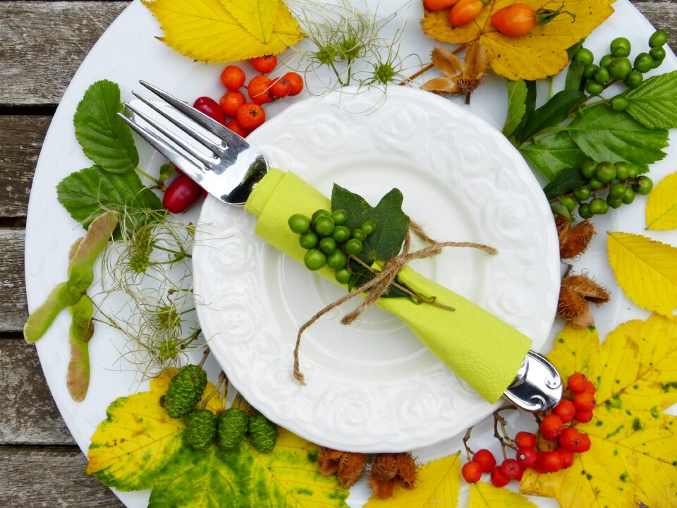 Leaves fruits harvest
