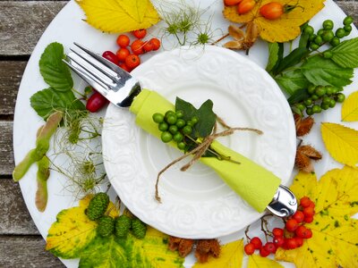 Leaves fruits harvest