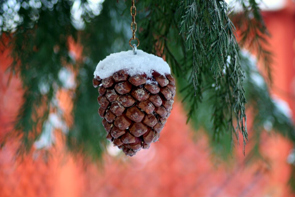Snow january scenery