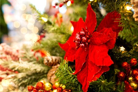 Decoration december atmosphere