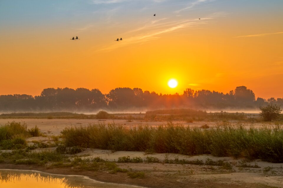Dawn the fog sky