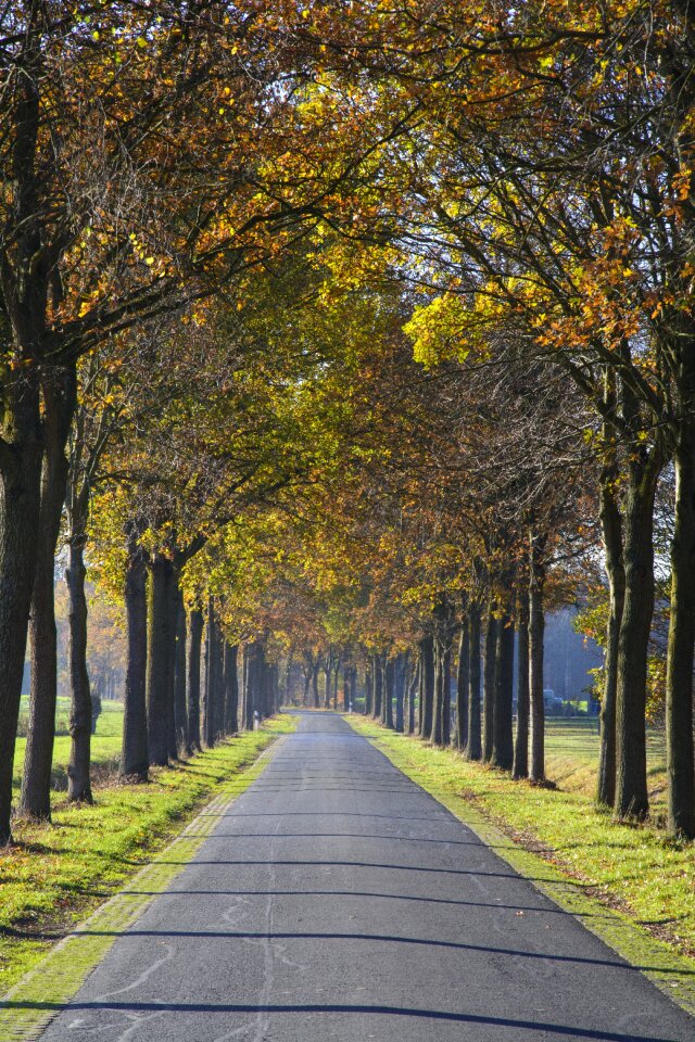 Away nature autumn