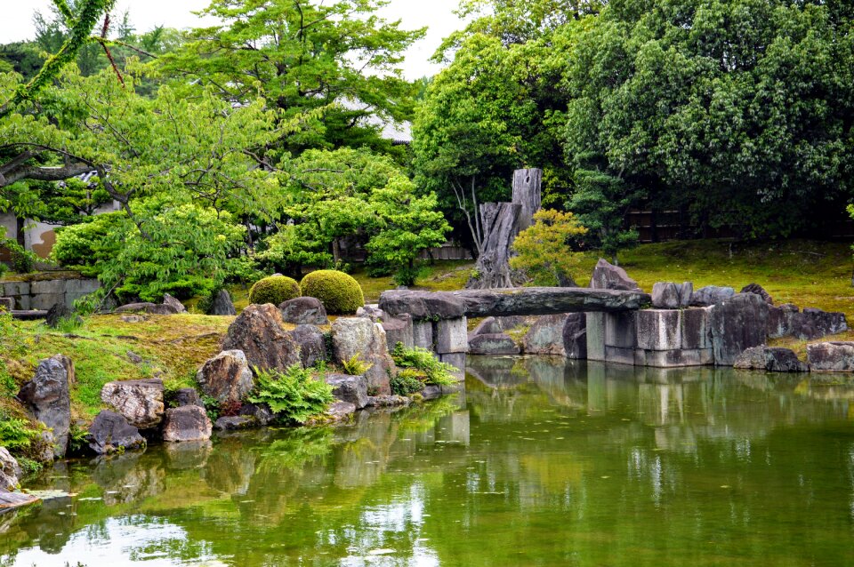 Green pond japanese photo