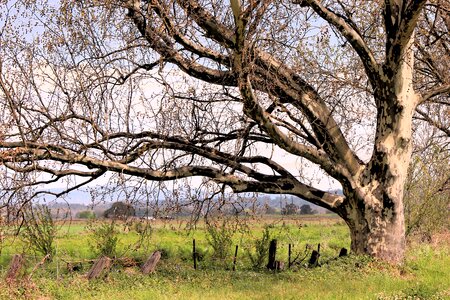 Fence paddocks fields