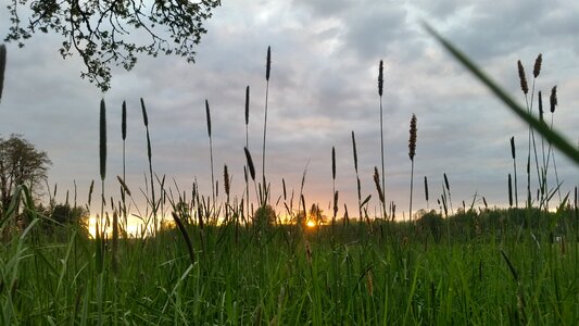 Sky outdoors rural