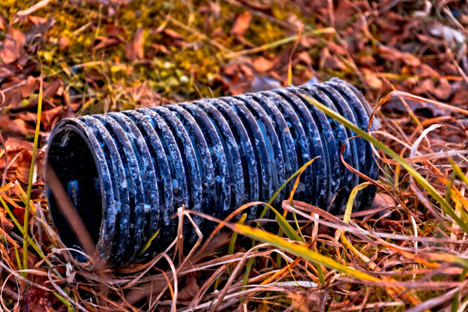 Autumn cold nature