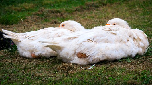 Concerns rest sleep