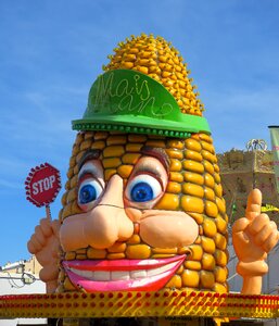 Fair year market carnies