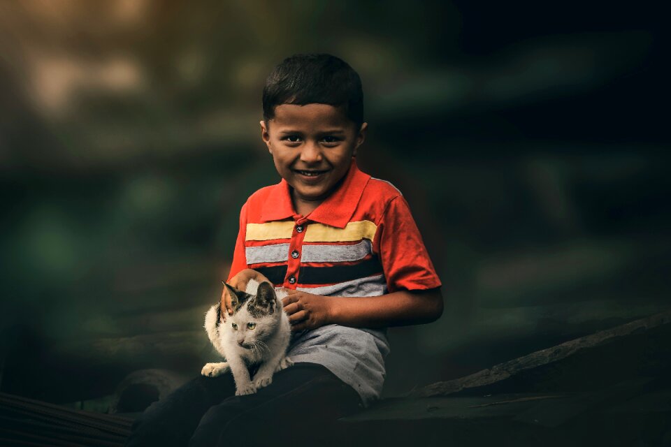 Cute boy with animal a cat with a boy boy