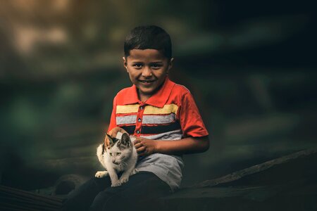 Cute boy with animal a cat with a boy boy photo