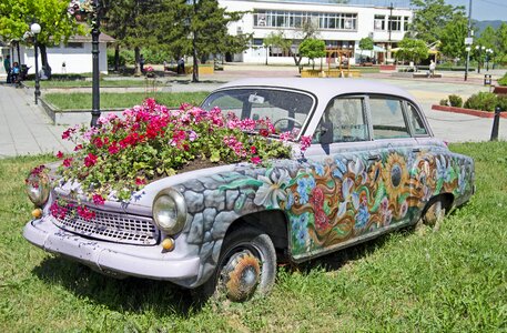 Flowers flower power wartburg