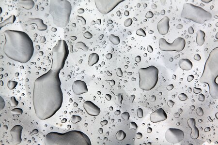 Rain water macro photo