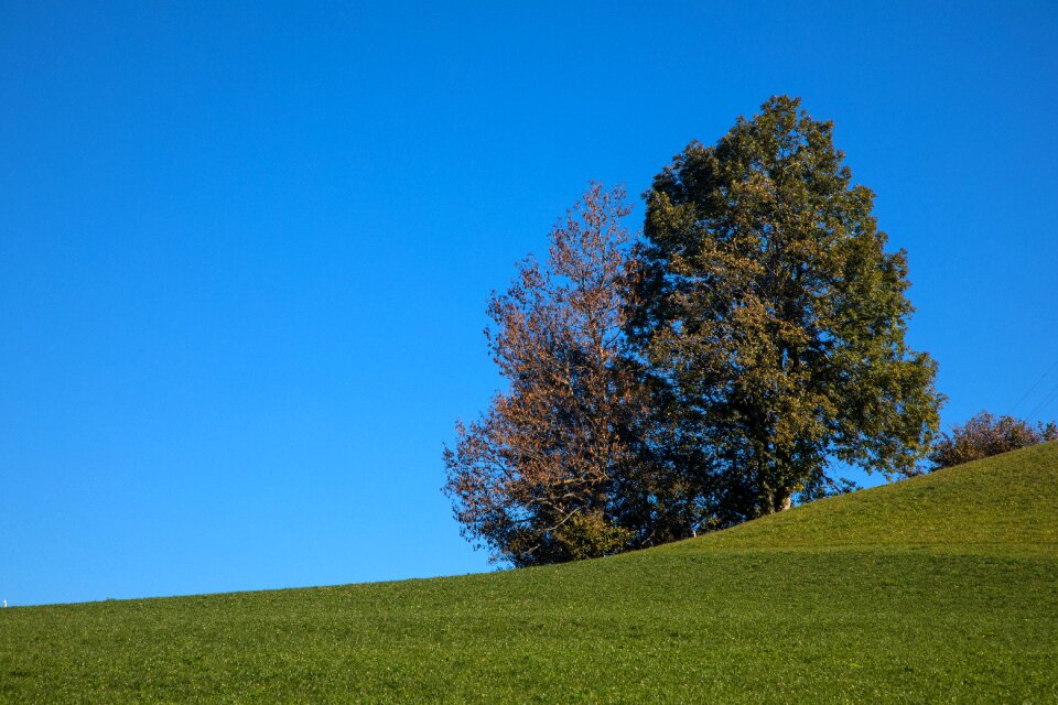 Sky scenic meadow