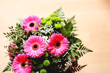 Mother's day bouquet of flowers gerbera