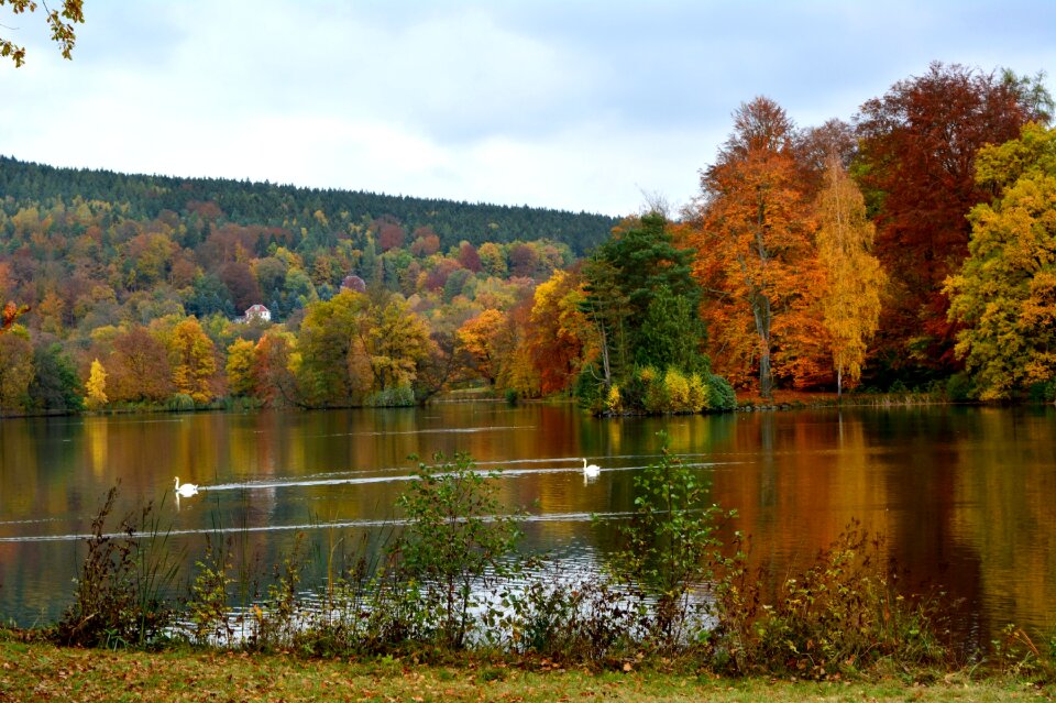 Greiz park lake landscape