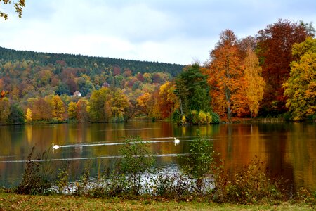 Greiz park lake landscape photo