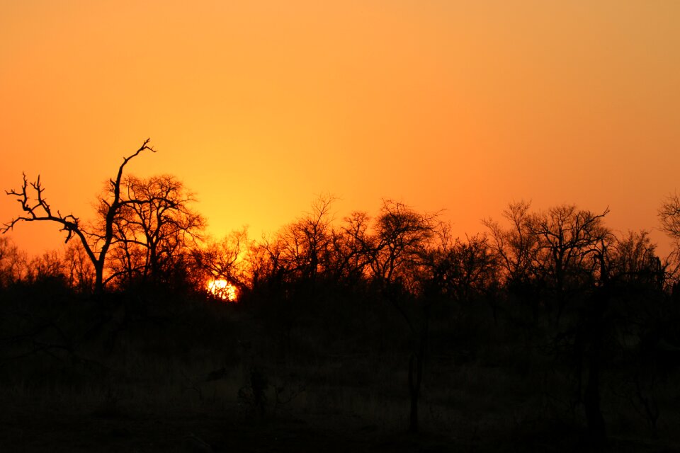 Landscape wilderness orange landscape