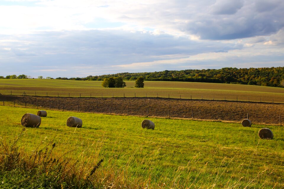 Abendstimmung meadow field