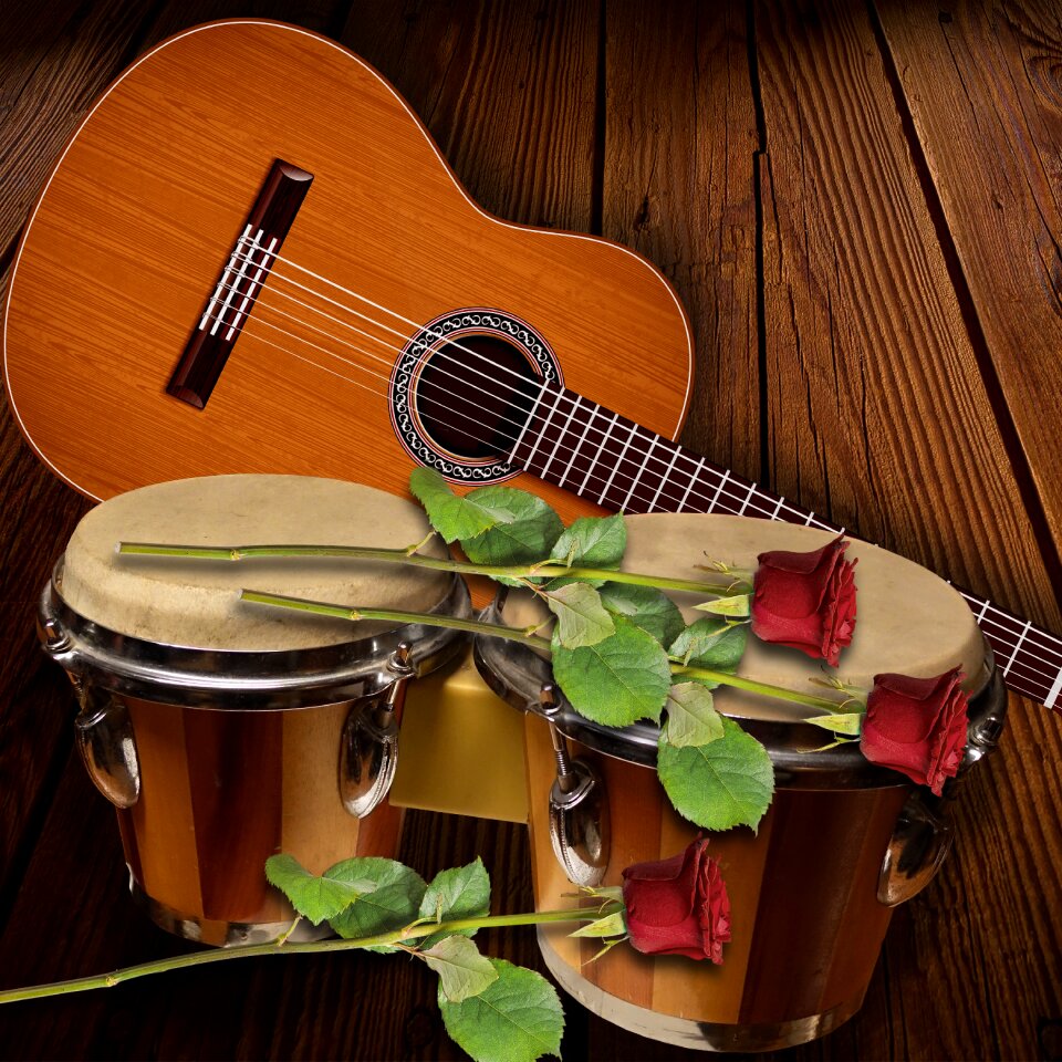 Design roses instrument