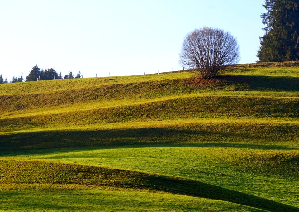 Nature pasture alpine