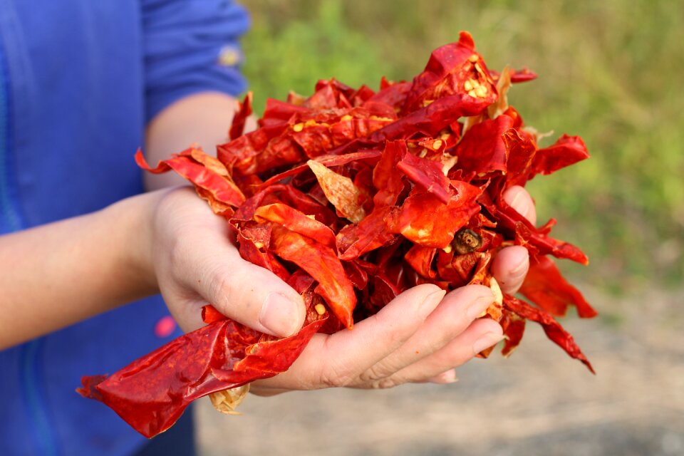 Hunan red pepper red