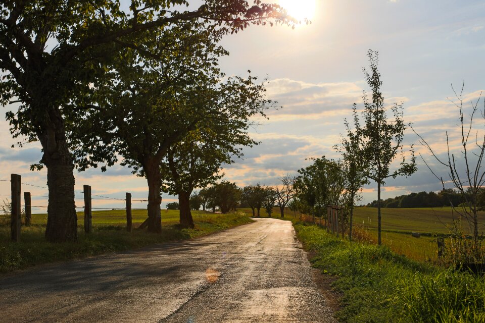 Autumn lane abendstimmung