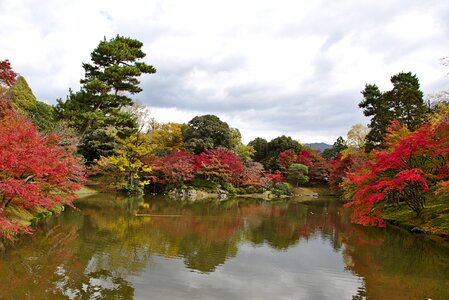Park autumn pond