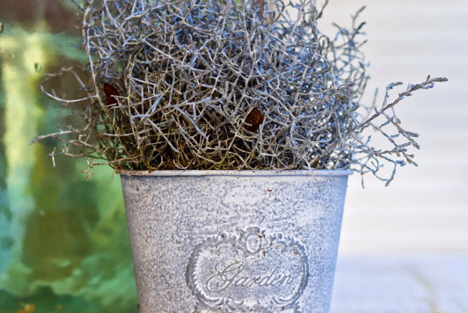 Close up background flowerpot