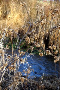 Nature landscape grass