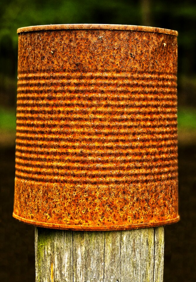 Tin can wooden posts post completion of