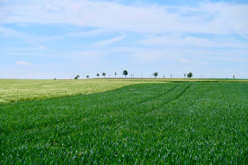 Field agriculture spring