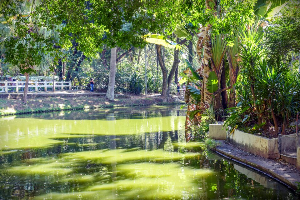 Water green panorama