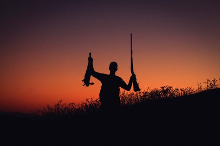 The weapon of sniper hunting rabbit