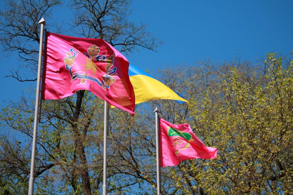 Tree flags the emblem of the city