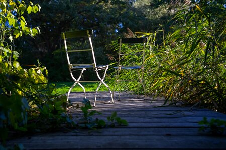 Nature landscape relax