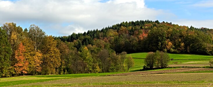 Autumn forest field photo